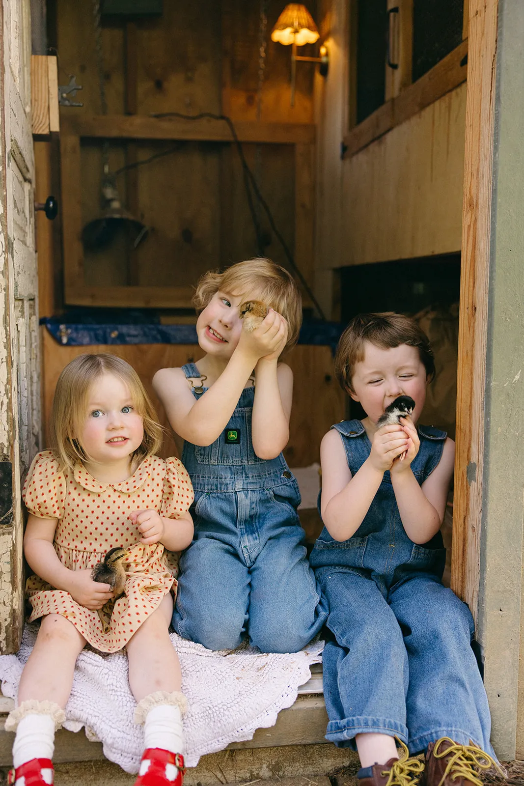 Three children sitting in a barn doorway holding chicks